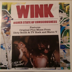 Josh Wink Higher State Of Consciousness Vinyl 12" USED