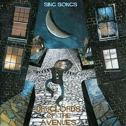 The Druglords Of The Avenues Sing Songs Vinyl LP USED