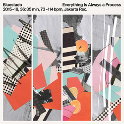 Bluestaeb Everything Is Always A Process Vinyl LP USED
