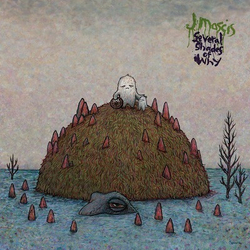 J Mascis Several Shades Of Why Vinyl LP USED