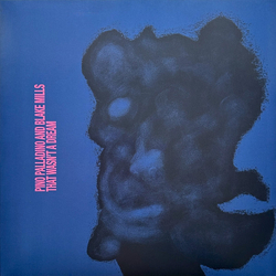 Pino Palladino / Blake Mills That Wasn't A Dream Vinyl LP USED