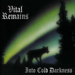Vital Remains Into Cold Darkness Vinyl LP USED