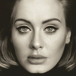 Adele 25 Vinyl LP USED