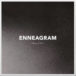 Sleeping At Last Enneagram Vinyl 2 LP USED
