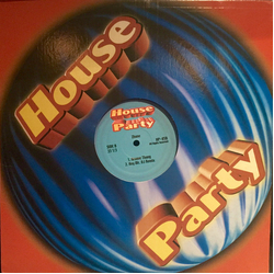 Zhané Hey Mr. DJ Vinyl 12" USED