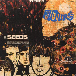 The Seeds Future Vinyl LP USED