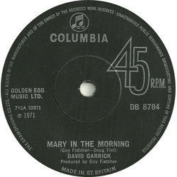 David Garrick Mary In The Morning Vinyl 7" USED