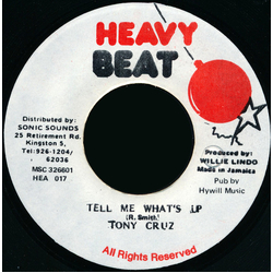 Anthony Cruz Tell Me What's Up Vinyl 7" USED