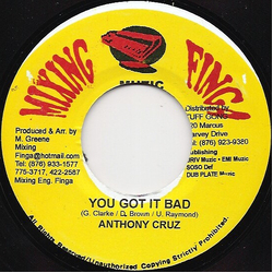 Anthony Cruz You Got It Bad Vinyl 7" USED