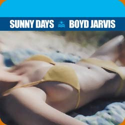 Boyd Jarvis Sunny Days USED VINYL 12INCH 33 S RPM