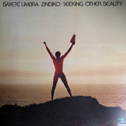Bayeté (2) Seeking Other Beauty Vinyl LP USED