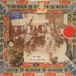 Dr. Dog We All Belong Vinyl LP USED