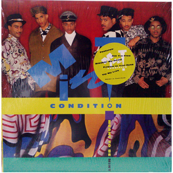 Mint Condition Meant To Be Mint Vinyl LP USED