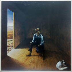 Don McLean Homeless Brother Vinyl LP USED