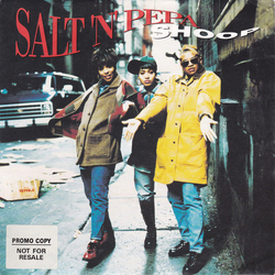 Salt 'N' Pepa Shoop Vinyl 7" USED