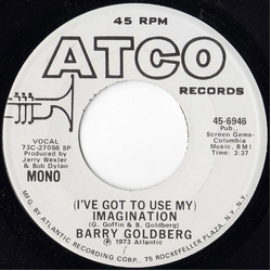 Barry Goldberg (I've Got To Use My) Imagination Vinyl 7" USED
