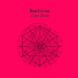 Ron Geesin ExpoZoom Vinyl LP USED
