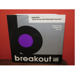 Seduction (You're My One And Only) True Love Vinyl 12" USED
