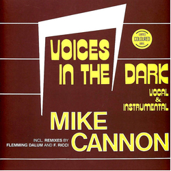 Mike Cannon Voices In The Dark Vinyl 12" USED
