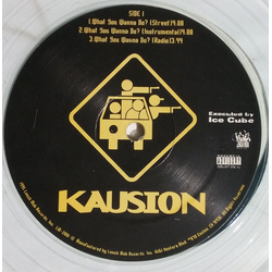 Kausion What You Wanna Do? / Bounce, Rock, Skate Vinyl 12" USED