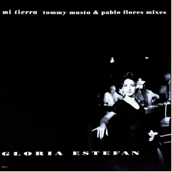 Gloria Estefan Mi Tierra (Tommy Musto & Pablo Flores Mixes) Vinyl 12" USED