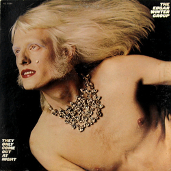 The Edgar Winter Group They Only Come Out At Night Vinyl LP USED