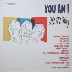 You Am I Hi Fi Way Vinyl LP USED
