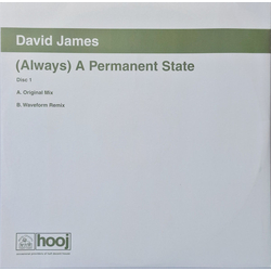 David James (Always) A Permanent State Vinyl 12" USED