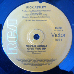 Rick Astley Never Gonna Give You Up Vinyl 7" USED