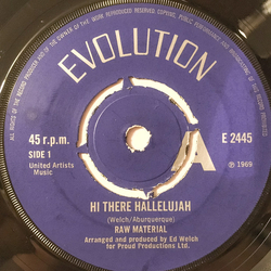 Raw Material (2) Hi There Hallelujah / Days Of The Fighting Cock Vinyl 7" USED