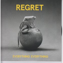 Everything Everything Regret Vinyl 7" USED