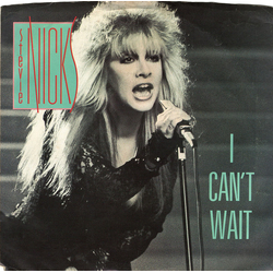 Stevie Nicks I Can't Wait Vinyl 7" USED