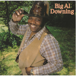 Al Downing Big Al Downing Vinyl LP USED