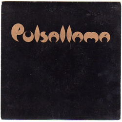 Pulsallama The Devil Lives In My Husband's Body Vinyl 7" USED