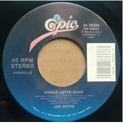 Joe Diffie Whole Lotta Gone Vinyl 7" USED
