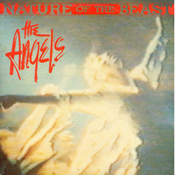 The Angels Nature Of The Beast Vinyl 7" USED