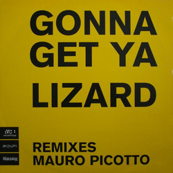 Mauro Picotto Gonna Get Ya Lizard Vinyl 12" USED