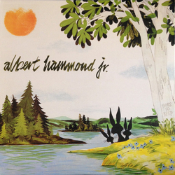 Albert Hammond Jr. Yours To Keep Vinyl LP USED