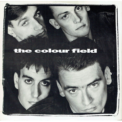 The Colourfield Things Could Be Beautiful Vinyl 12" USED