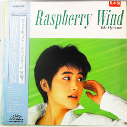 Yoko Oginome ラズベリーの風 = Raspberry Wind Vinyl LP USED