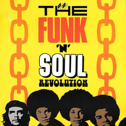 Various The Funk 'N' Soul Revolution Vinyl LP USED