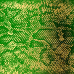 Zackey Force Funk Money Green Viper Vinyl LP USED