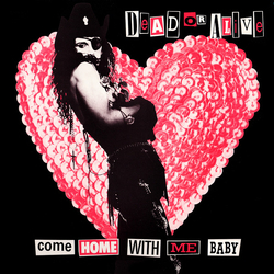 Dead Or Alive Come Home With Me Baby Vinyl 12" USED