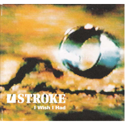 Stroke I Wish I Had Vinyl 12" USED