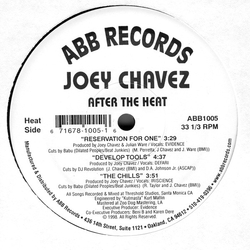 Joey Chavez After The Heat Vinyl 12" USED
