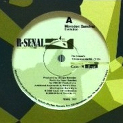 Giorgio Moroder / Roger Sanchez / Deejay Punk-Roc Evolution / One More Bump Vinyl 12" USED