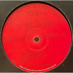 Alan Stevens / Dylan Burns / Vibetribe Burnin' Vinyl 12" USED