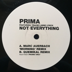 Prima Not Everything Vinyl 12" USED