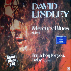 David Lindley Mercury Blues  (Live) Vinyl 12" USED