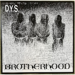 DYS Brotherhood Vinyl LP USED